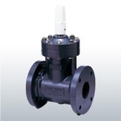 GATE VALVE TYPE-P (PLUG) CAP